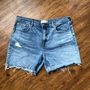 Everlane Denim Short